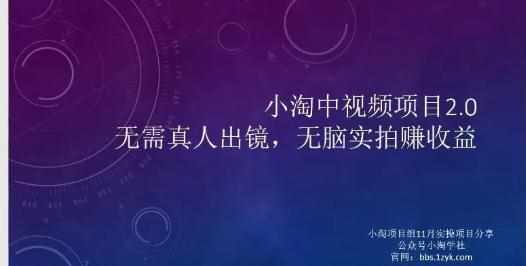 小淘项目组网赚永久会员，绝对是具有实操价值的，适合有项目做需要流程【持续更新】-泰戈创艺资源库
