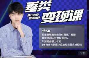 张sir·垂类变现课，抖音带货新手才看粉丝量，高手都看变现效率-泰戈创艺资源库