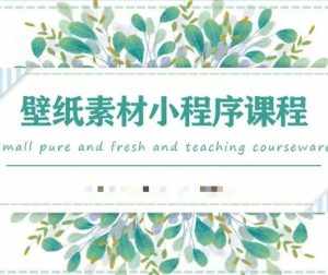 闪闪壁纸号运营教程，抓住图文风口，快速吸粉变现-泰戈创艺资源库