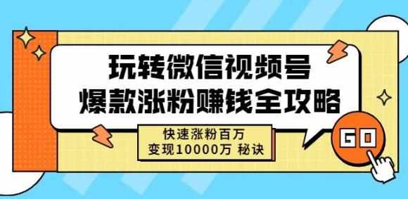 玩转微信视频号爆款涨粉赚钱全攻略，快速涨粉百万变现万元秘诀-泰戈创艺资源库