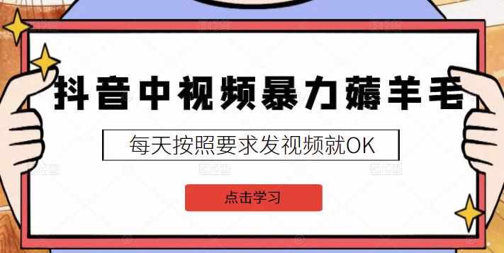 2022抖音中视频暴力薅羊毛白嫖项目：新号每天20块，老号几天几百块，可多号-泰戈创艺资源库