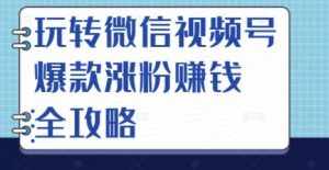 玩转微信视频号爆款涨粉赚钱全攻略,让你快速抓住流量风口,收获红利财富-泰戈创艺资源库