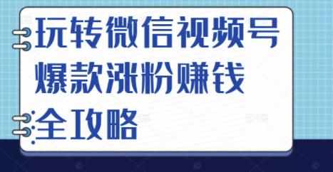 玩转微信视频号爆款涨粉赚钱全攻略，让你快速抓住流量风口，收获红利财富-泰戈创艺资源库