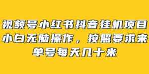 视频号小红书抖音挂机项目,小白无脑操作,按照要求来,单号每天几十米-泰戈创艺资源库