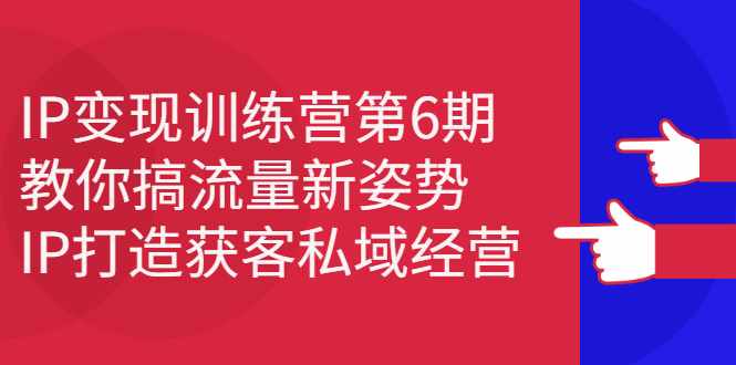 IP变现训练营第6期：教你搞流量新姿势，IP打造获客私域经营-泰戈创艺资源库