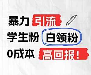 暴力引流学生粉白领粉，吊打以往垃圾玩法，0成本，高回报-泰戈创艺资源库
