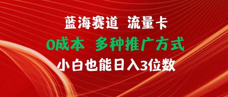 （11768期）蓝海赛道 流量卡 0成本 小白也能日入三位数-泰戈创艺资源库