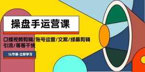 （11803期）操盘手运营课程：口播视频剪辑/账号运营/文案/绿幕剪辑/引流/干货/16节-泰戈创艺资源库
