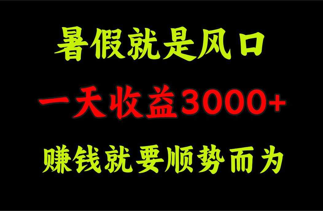 （11670期）一天收益3000+ 赚钱就是顺势而为，暑假就是风口-泰戈创艺资源库