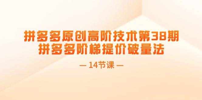 （11704期）拼多多原创高阶技术第38期，拼多多阶梯提价破量法（14节课）-泰戈创艺资源库