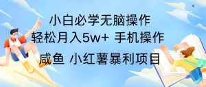 全网首发2024最暴利手机操作项目,简单无脑操作,每单利润最少500+-泰戈创艺资源库