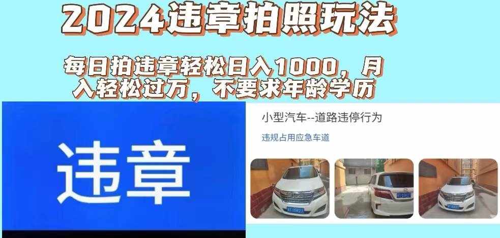 （11743期）2024违章拍照新玩法，推广躺赚+拍照赚钱双模式，日入1000+-泰戈创艺资源库