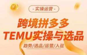 跨境拼多多TEMU实操与选品，多多temu跨境选品运营实操-泰戈创艺资源库