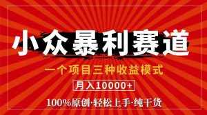 （11695期）视频号【中老年粉深信不疑】小众赛道 100%原创 手把手教学 新号3天收益…-泰戈创艺资源库