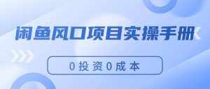 (11923期)闲鱼风口项目实操手册,0投资0成本,让你做到,月入过万,新手可做-泰戈创艺资源库