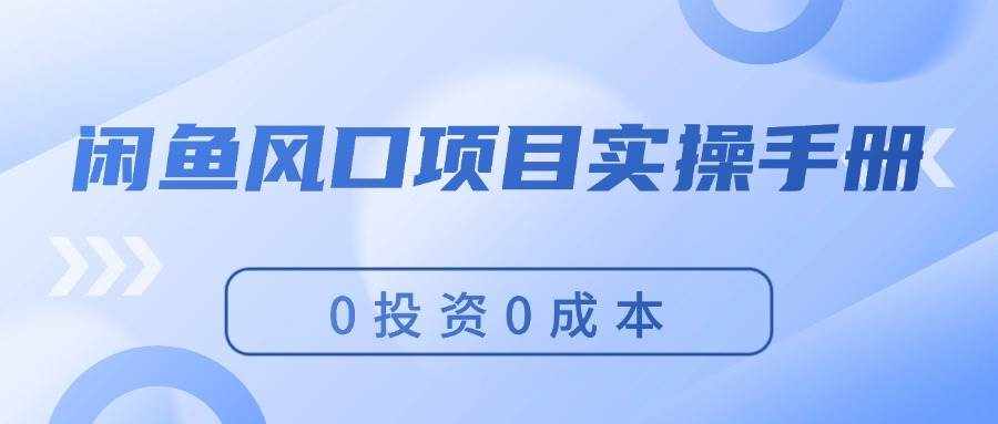 （11923期）闲鱼风口项目实操手册，0投资0成本，让你做到，月入过万，新手可做-泰戈创艺资源库