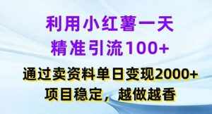 利用小红书一天精准引流100+，通过卖项目单日变现2k+，项目稳定，越做越香【揭秘】-泰戈创艺资源库