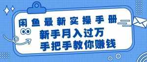 （11818期）闲鱼最新实操手册，手把手教你赚钱，新手月入过万轻轻松松-泰戈创艺资源库