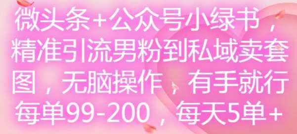 微头条+公众号小绿书，精准引流男粉到私域卖套图，无脑操作，有手就行，每单99-200，每天5单-泰戈创艺资源库