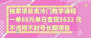 独家项目卖冷门教学课程一单88元单日变现5632元违规不封号长期项目【揭秘】-泰戈创艺资源库