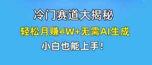 冷门赛道大揭秘，轻松月赚1W+无需AI生成，小白也能上手【揭秘】-泰戈创艺资源库