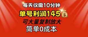 (12027期)每天仅需10分钟,单号利润145 可复制放大 简单0成本-泰戈创艺资源库