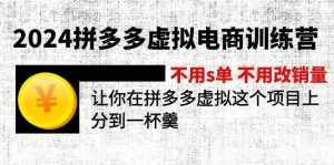 (12024期)2024拼多多虚拟电商训练营 不s单 不改销量 做虚拟项目分一杯羹(更新10节)-泰戈创艺资源库