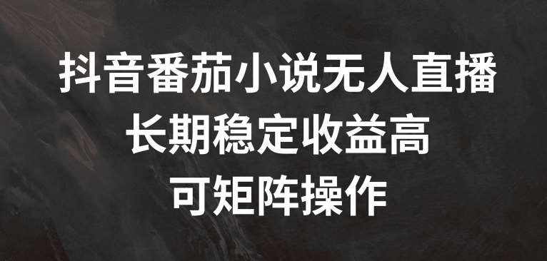 抖音番茄小说无人直播，长期稳定收益高，可矩阵操作【揭秘】-泰戈创艺资源库