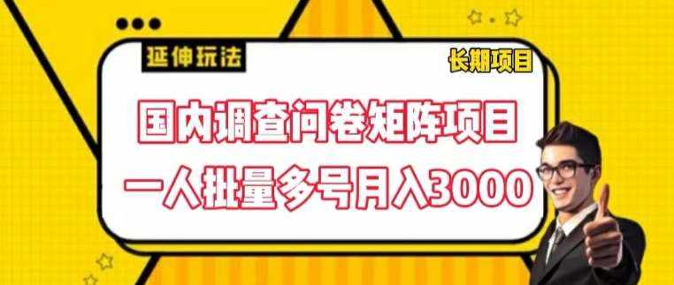 国内调查问卷矩阵项目，一人批量多号月入3000【揭秘】-泰戈创艺资源库