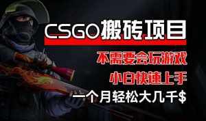 CSGO 装备搬砖项目，操作简单，不需要会玩游戏，小白也能快速上手，一个月轻松大几千【揭秘】-泰戈创艺资源库