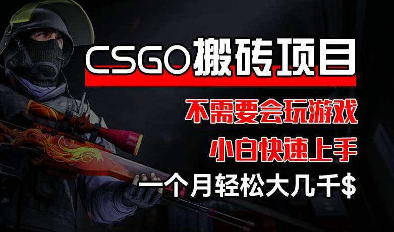 CSGO 装备搬砖项目，操作简单，不需要会玩游戏，小白也能快速上手，一个月轻松大几千【揭秘】-泰戈创艺资源库