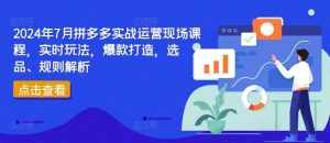 2024年7月拼多多实战运营现场课程,实时玩法,爆款打造,选品、规则解析-泰戈创艺资源库