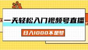 (11906期)一天入门视频号直播带货,日入1000不是梦-泰戈创艺资源库
