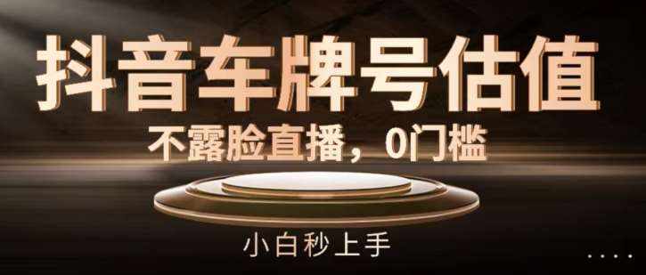抖音车牌号估值，不露脸直播，0门槛，小白秒上手【揭秘】-泰戈创艺资源库