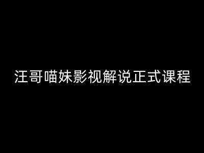 汪哥影视解说正式课程：剪映/PR教学/视解说剪辑5大黄金法则/全流程剪辑7把利器等等-泰戈创艺资源库