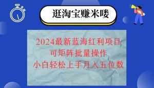 (12033期)2024淘宝蓝海红利项目,无脑搬运操作简单,小白轻松月入五位数,可矩阵…-泰戈创艺资源库