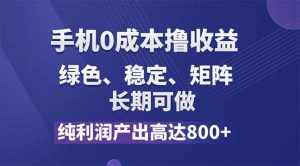 （11976期）纯利润高达800+，手机0成本撸羊毛，项目纯绿色，可稳定长期操作！-泰戈创艺资源库