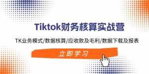 （11978期）Tiktok财务核算实战营：TK业务模式/数据核算/应收款及毛利/数据下载及报表-泰戈创艺资源库