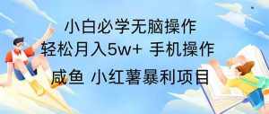 （11953期）2024热门暴利手机操作项目，简单无脑操作，每单利润最少500-泰戈创艺资源库