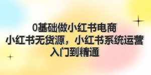 (11960期)0基础做小红书电商,小红书无货源,小红书系统运营,入门到精通 (70节)-泰戈创艺资源库