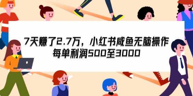 （12192期）7天收了2.7万，小红书咸鱼无脑操作，每单利润500至3000-泰戈创艺资源库