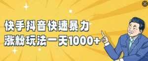 快手抖音快速暴力涨粉玩法,新手小白也能学会,一天1k+【揭秘】-泰戈创艺资源库