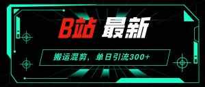 （12085期）B站最新，搬运混剪，单日引流300 创业粉-泰戈创艺资源库