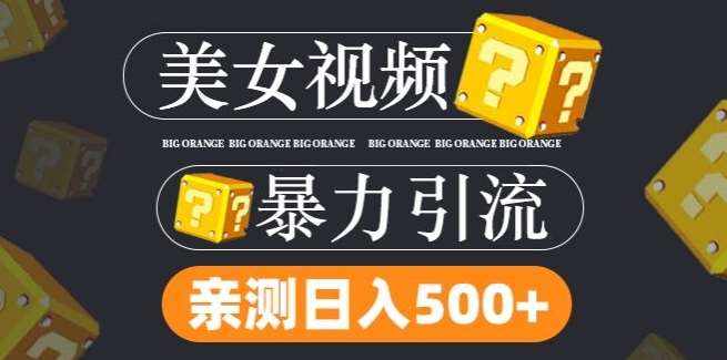 搬运tk美女视频全网分发，日引s粉300+，轻松变现，不限流量不封号【揭秘】-泰戈创艺资源库