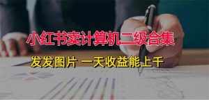 （12228期）小红书卖计算机二级合集，发发图片 一天收益能上千-泰戈创艺资源库