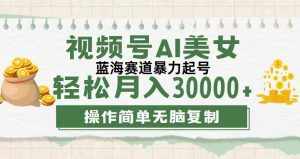 （12087期）视频号AI美女跳舞，轻松月入30000+，蓝海赛道，流量池巨大，起号猛，无…-泰戈创艺资源库
