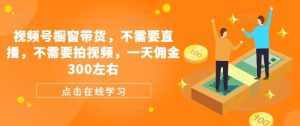 视频号橱窗带货，不需要直播，不需要拍视频，一天佣金300左右-泰戈创艺资源库