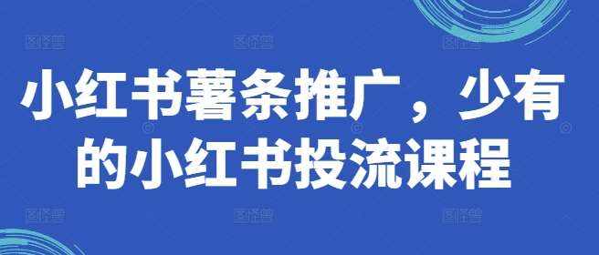 小红书薯条推广，少有的小红书投流课程-泰戈创艺资源库