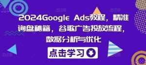 2024Google Ads教程，精准询盘秘籍，谷歌广告投放流程，数据分析与优化-泰戈创艺资源库