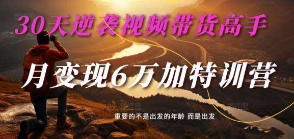 30天逆袭视频带货高手，单月变现6万加特训营-麦子甜-泰戈创艺资源库
